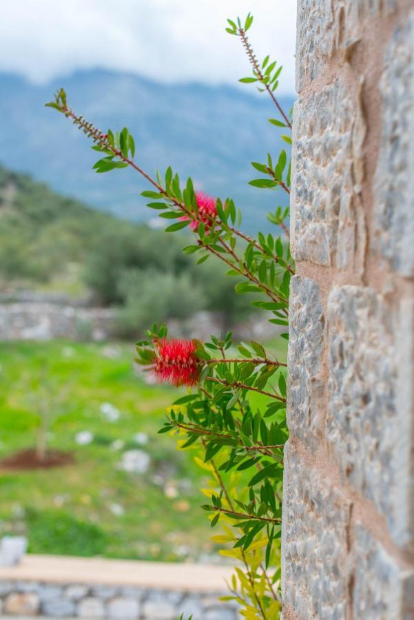 Dimitra - Mani , Traditional Archontiko *