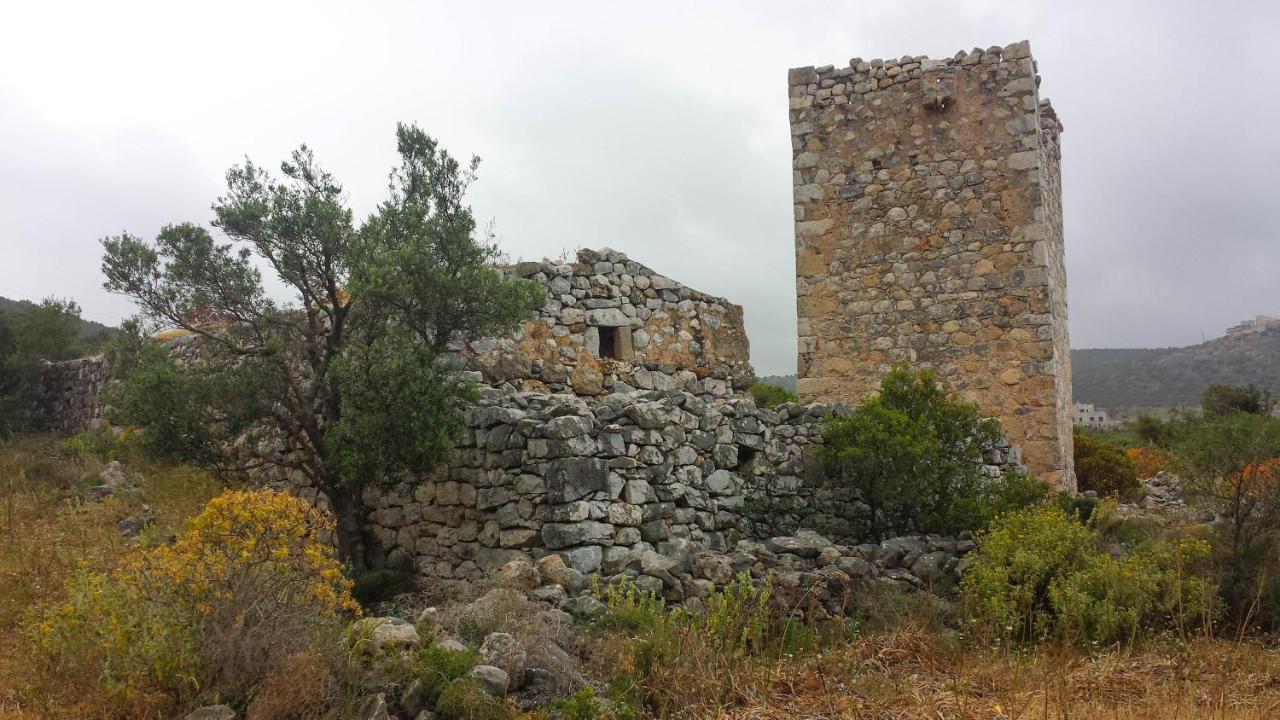 Holiday home Dimitra - Mani , Traditional Archontiko Diros