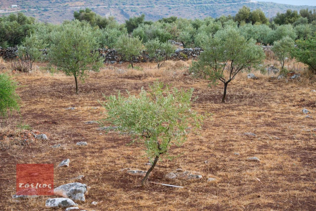 Dimitra - Mani , Traditional Archontiko Holiday home Diros